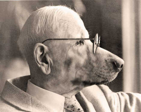 barking mad scientist ... 