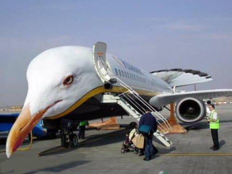 flapping